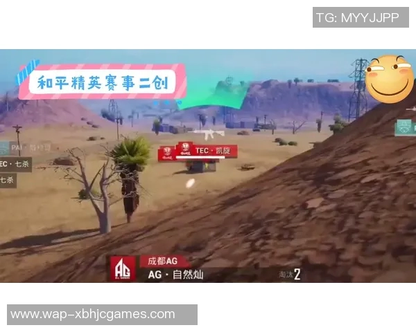 esports最新数据与刘磊畅谈和平精英的成长历程与职业生涯探索